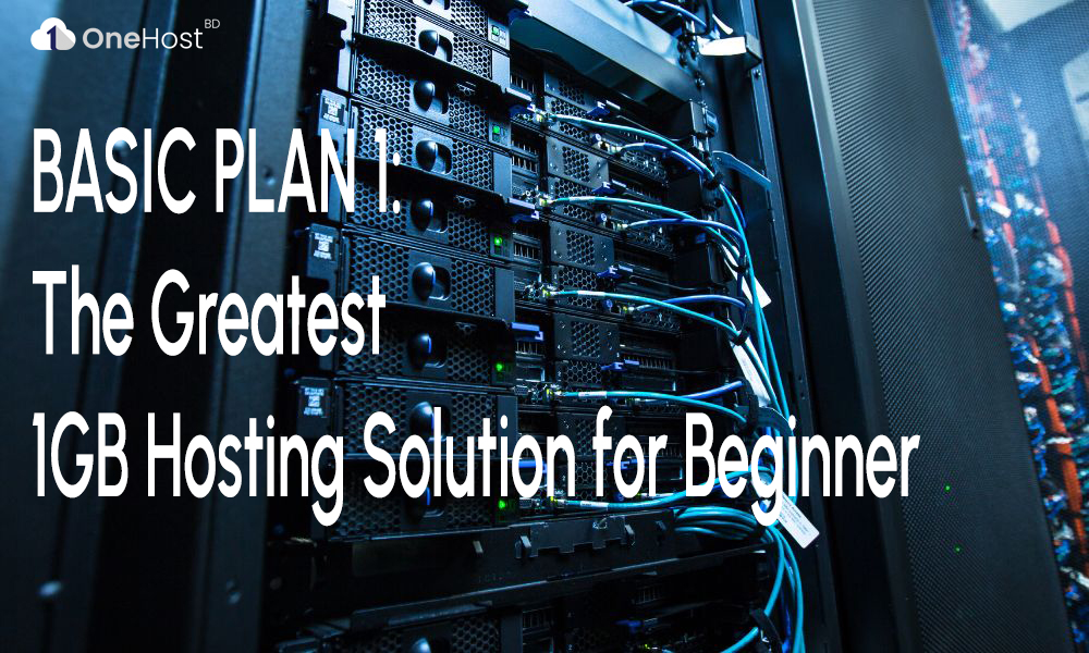 BASIC PLAN 1: The Greatest 1GB Hosting Solution for Beginner